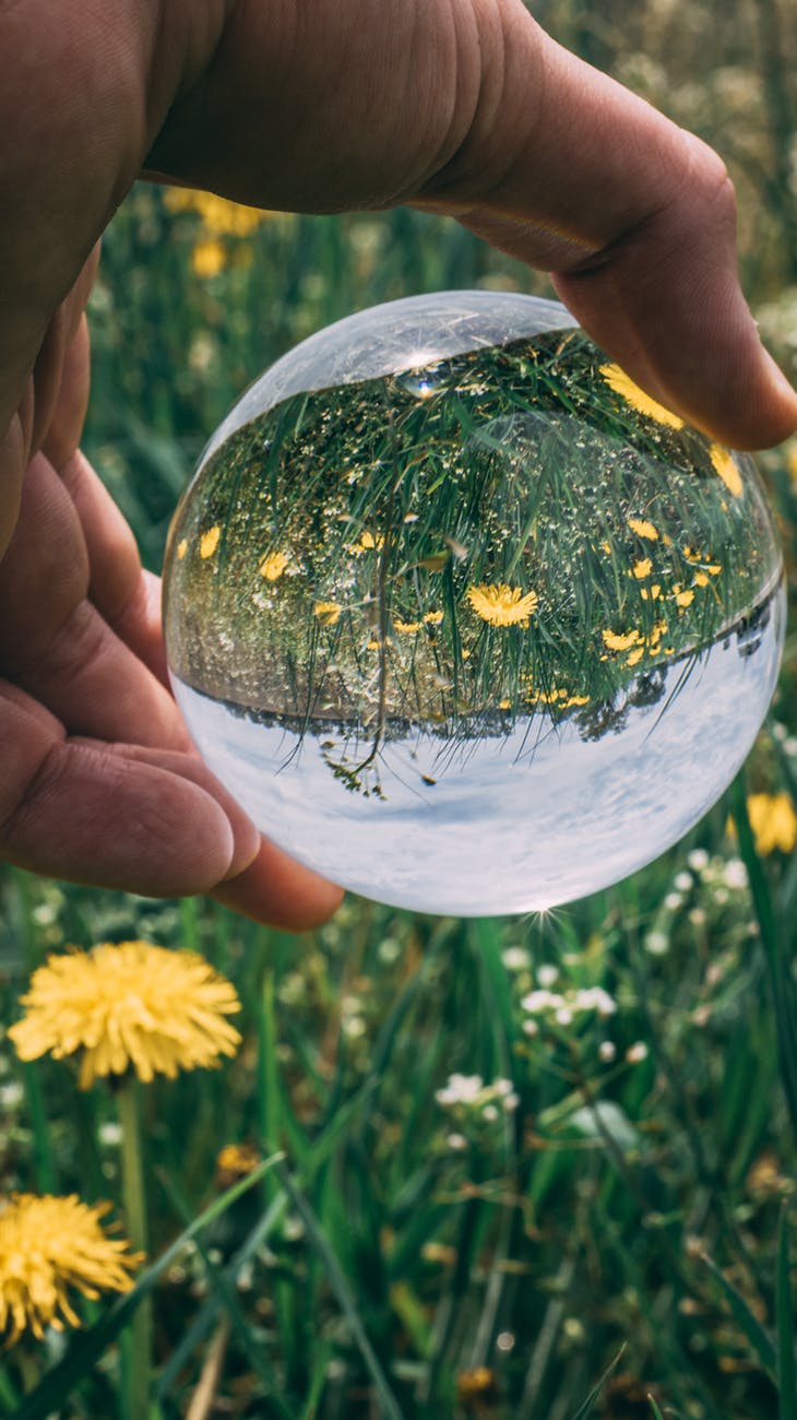 person holding clear glass ball