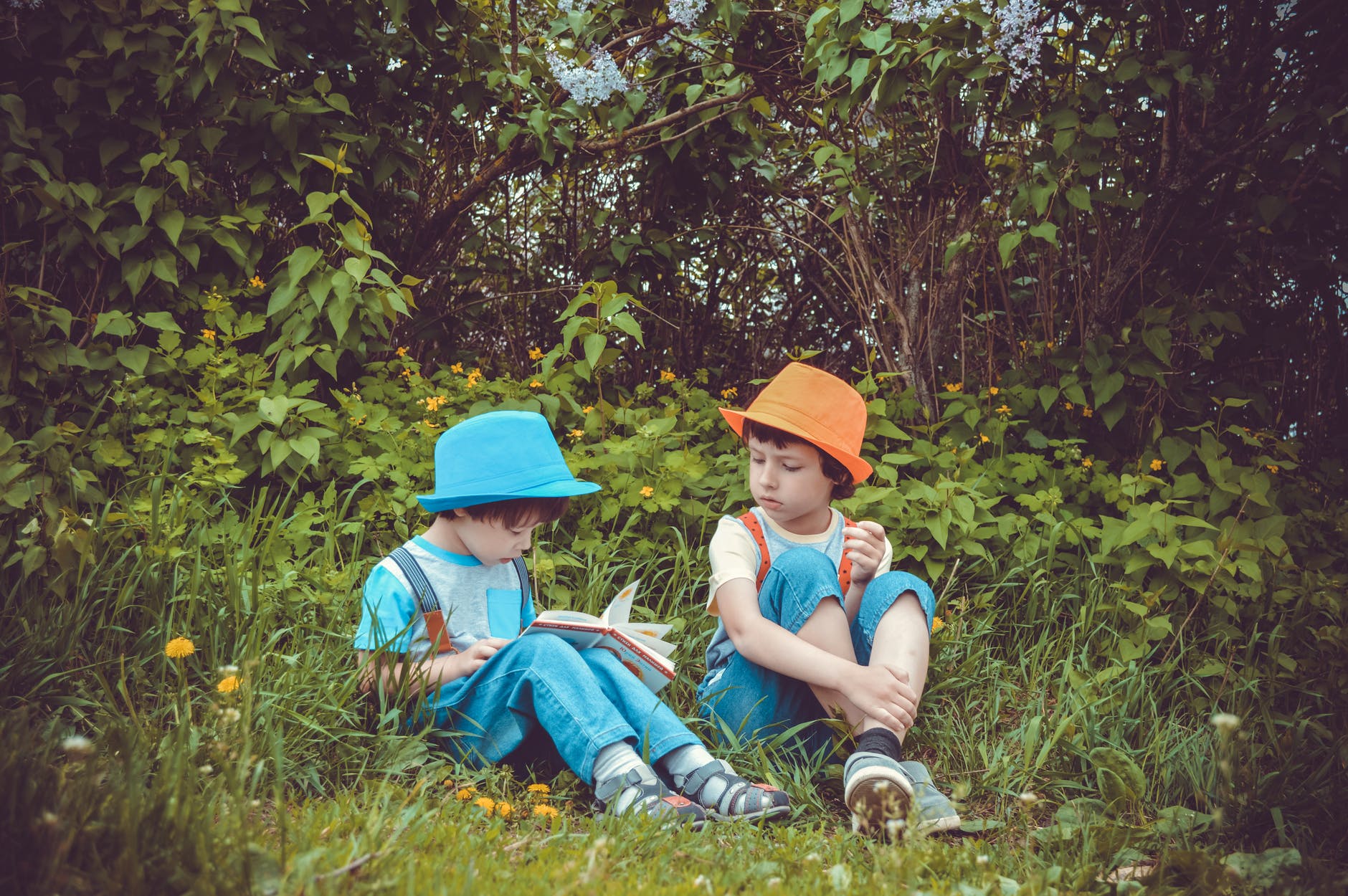 girl and boy sitting on grass field surrounded by trees