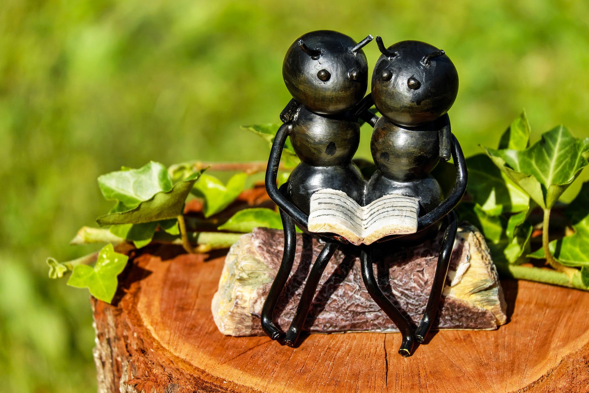 shallow focus photography of couple ants holding book figurine