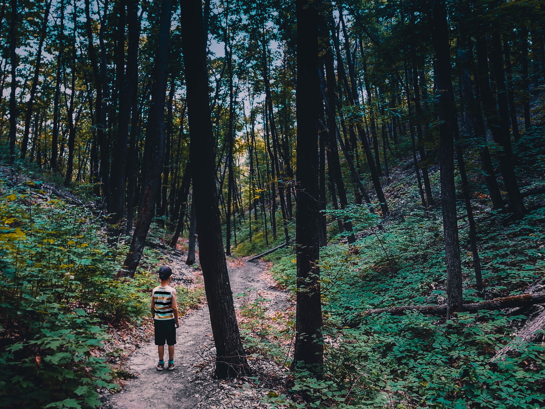 person wearing shirt standing near tree