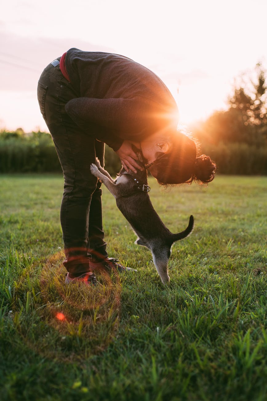 photo of person kissing a dog on grass field