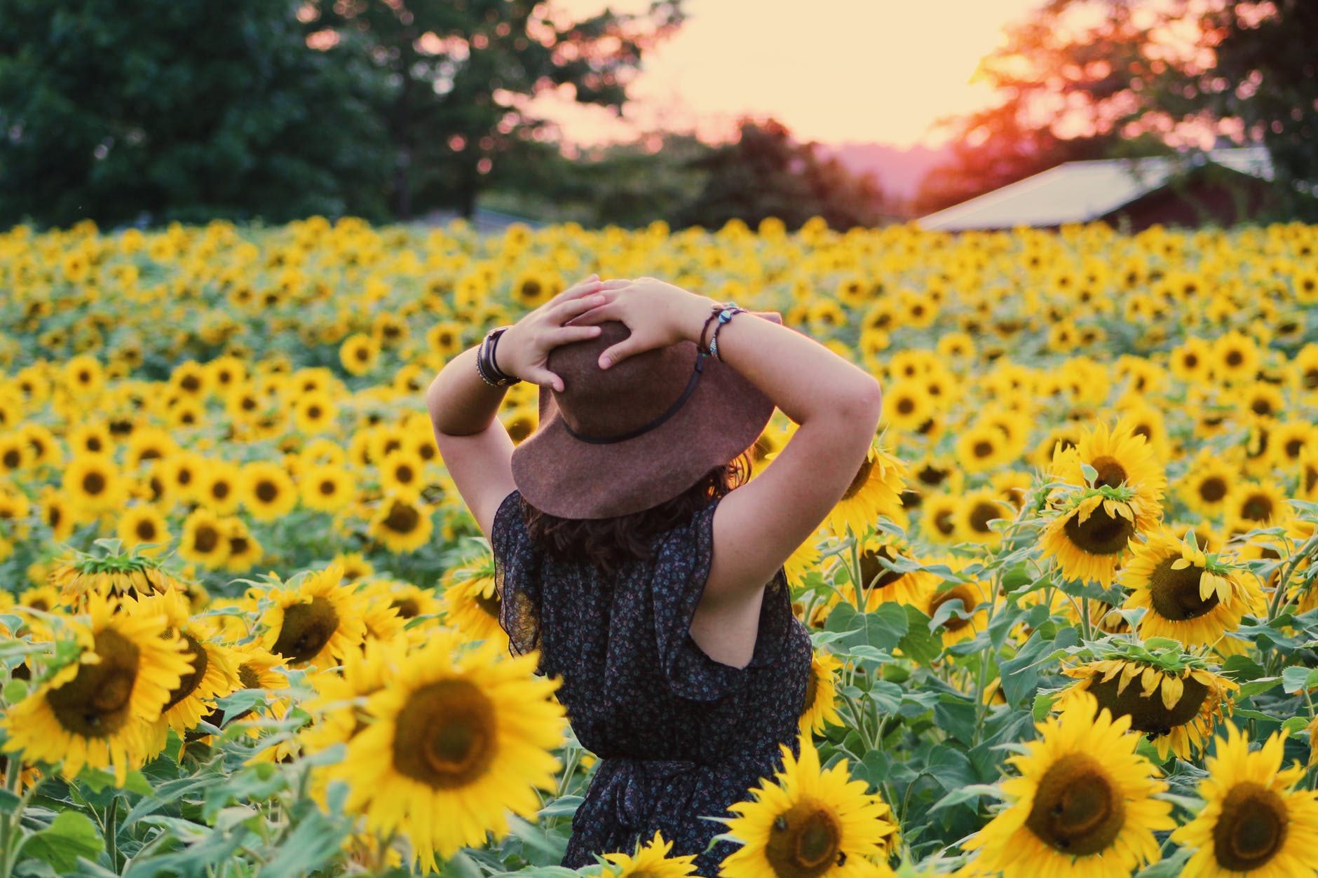 photo of woman in black dress standing on sunflower field