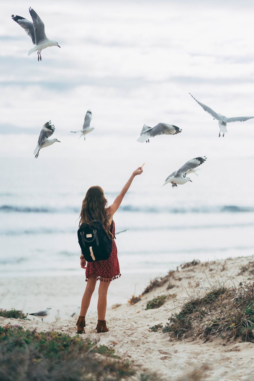 woman at the beach feeding the birds